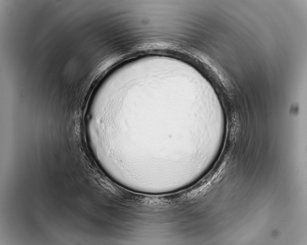 X0000103440921200810031410