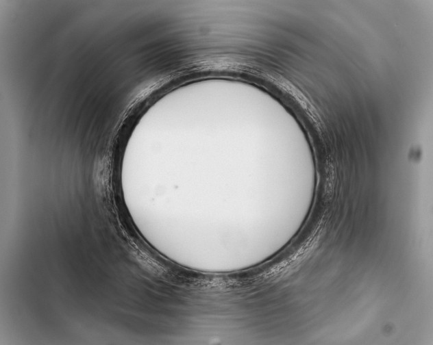 X0000103440922200810031410
