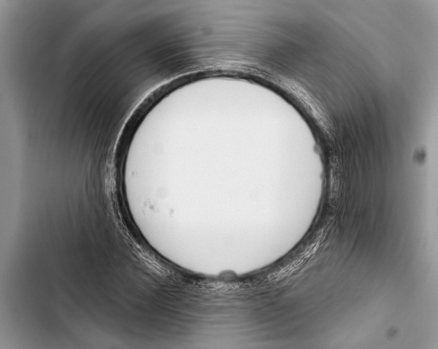 X0000103440924200810031410