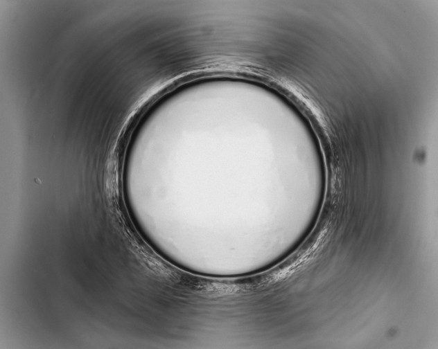 X0000103440925200810031410
