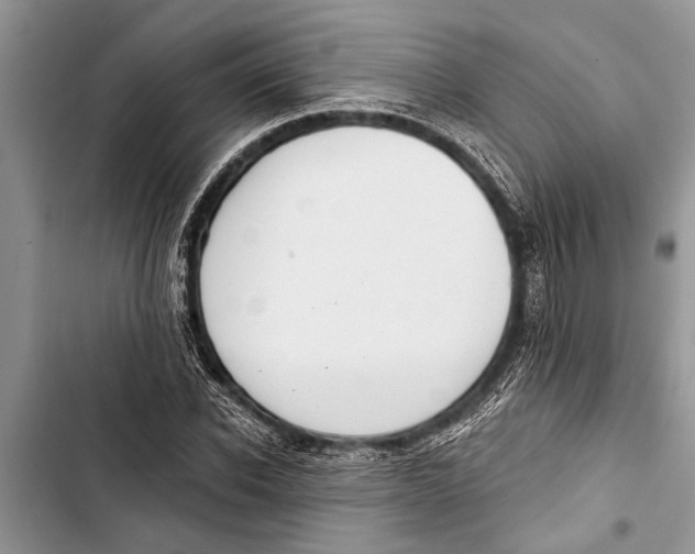 X0000103440926200810031410