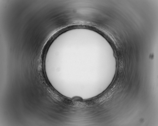 X0000103440927200810031410