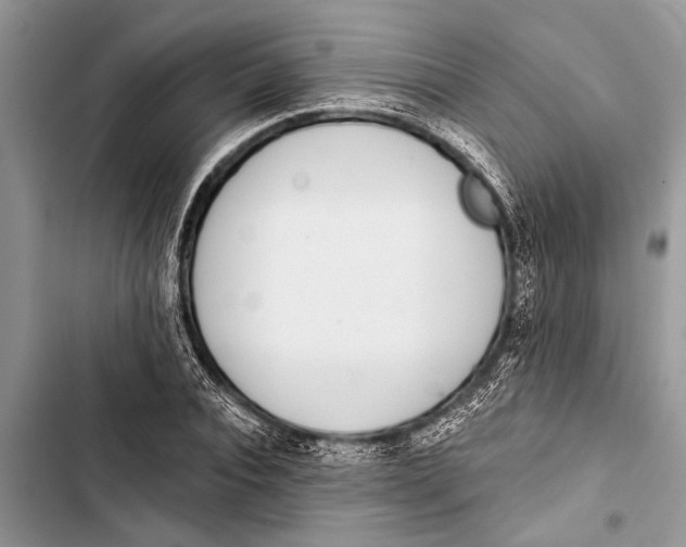 X0000103440928200810031410