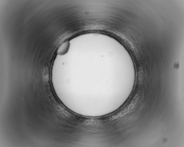 X0000103440929200810031410