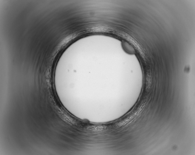 X0000103440930200810031410