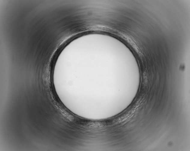 X0000103440931200810031410