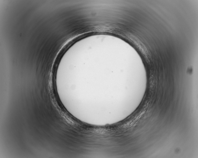 X0000103440932200810031410