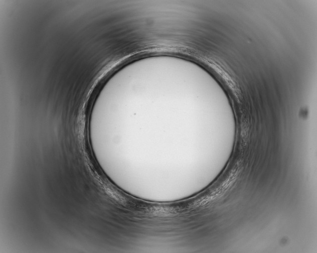 X0000103440933200810031410