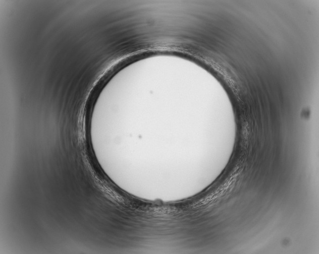X0000103440934200810031410