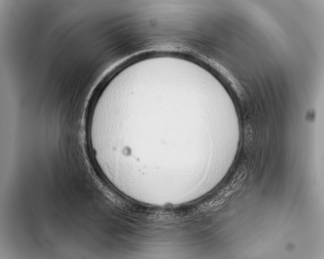 X0000103440935200810031410