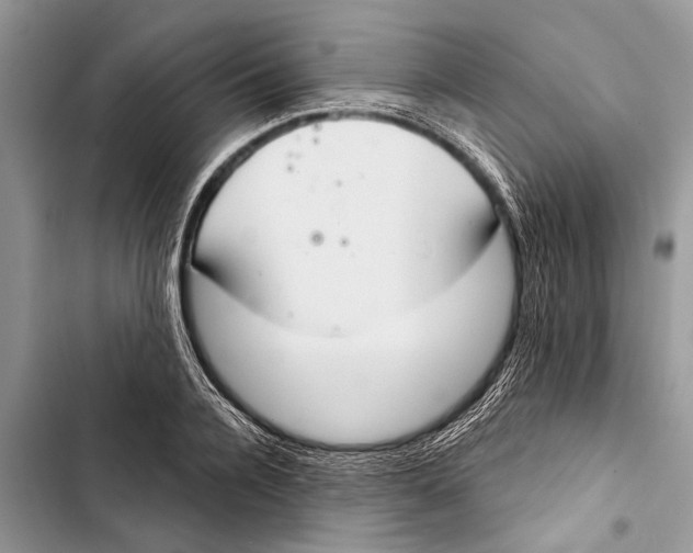 X0000103440936200810031410
