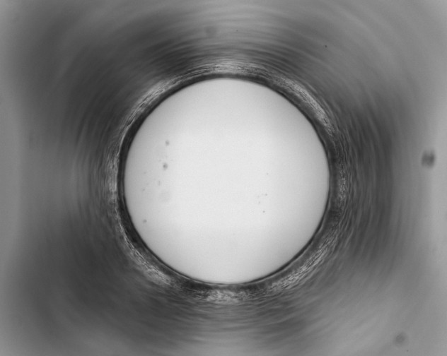 X0000103440938200810031410