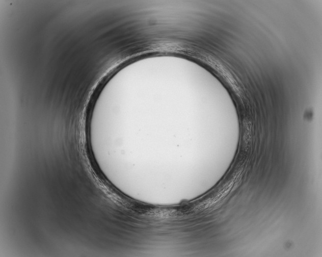X0000103440939200810031410