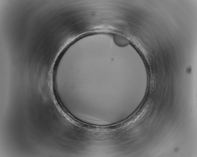 X0000103440941200810031410