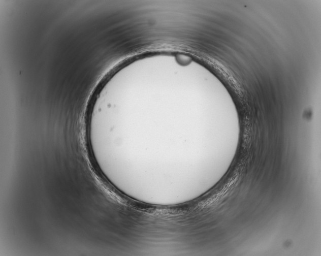 X0000103440942200810031410