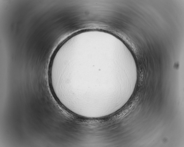X0000103440943200810031410