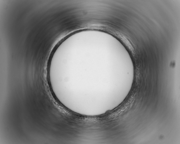 X0000103440944200810031410
