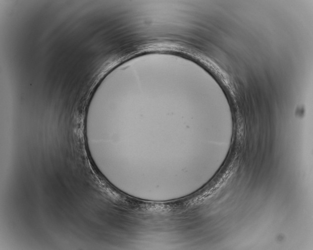 X0000103440945200810031410
