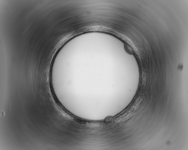 X0000103440946200810031410