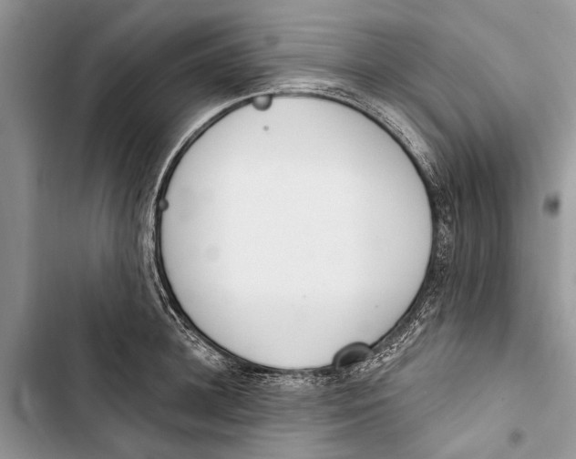 X0000103440948200810031410