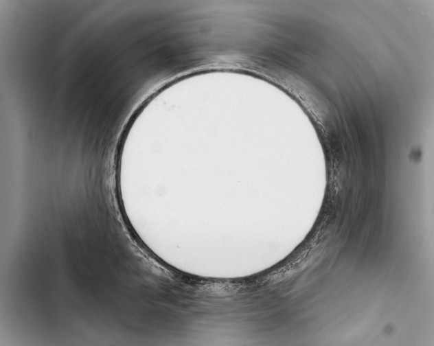 X0000103440950200810031410