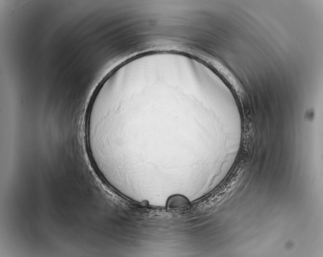 X0000103440951200810031410