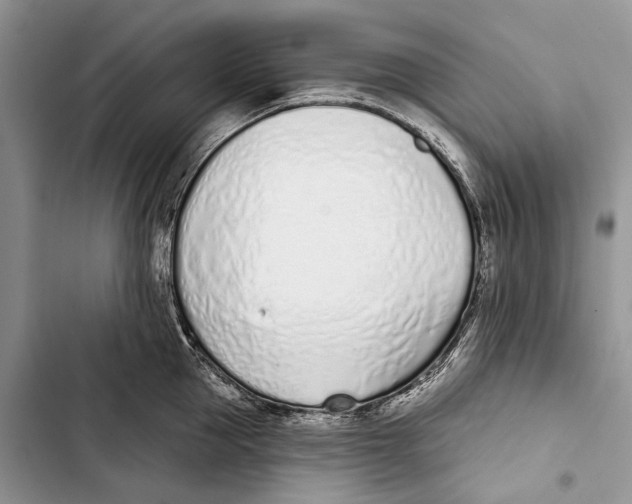 X0000103440953200810031410