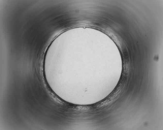 X0000103440954200810031410