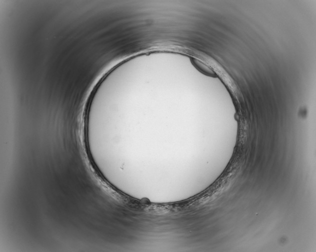 X0000103440955200810031410