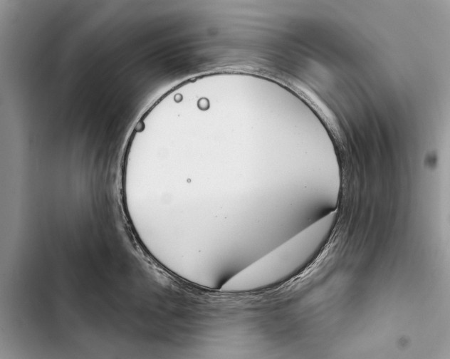 X0000103440956200810031410