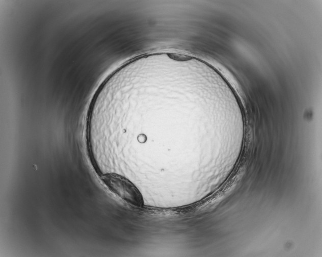 X0000103440957200810031410