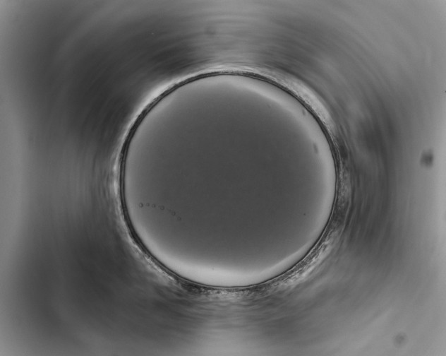 X0000103440958200810031410