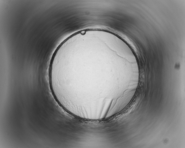 X0000103440959200810031410