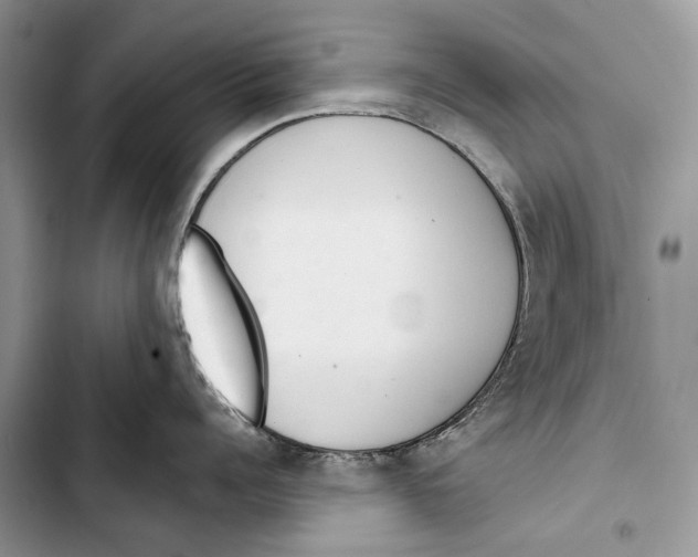 X0000103440960200810031410