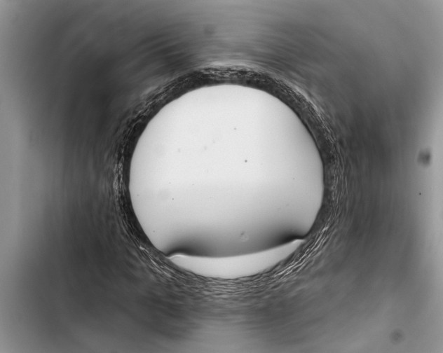 X0000103440965200810031409