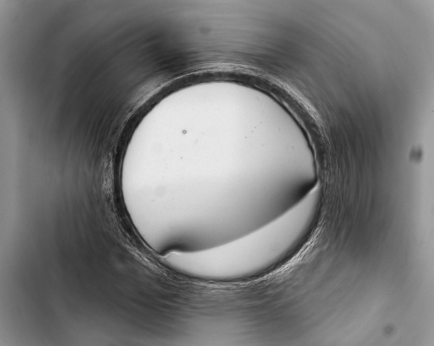 X0000103440969200810031409