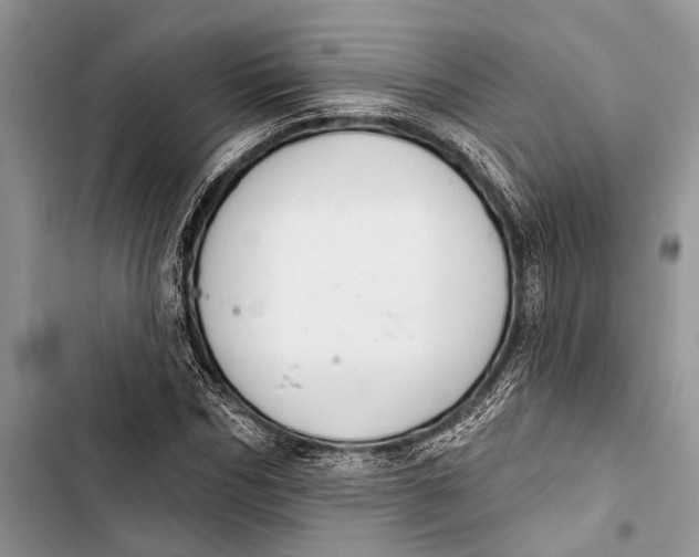 X0000103440970200810031409