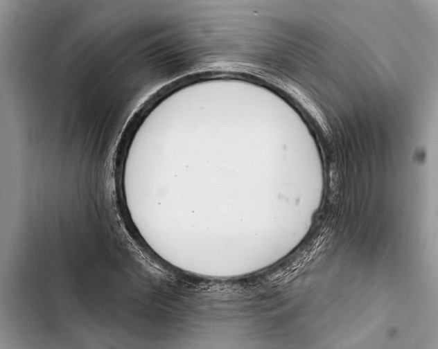 X0000103440972200810031409