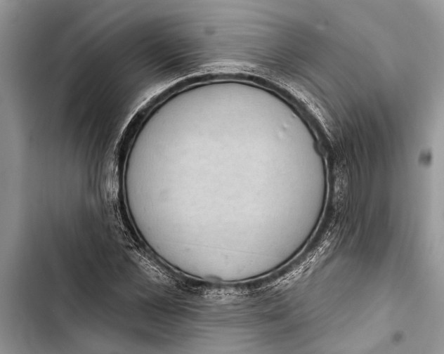 X0000103440973200810031409