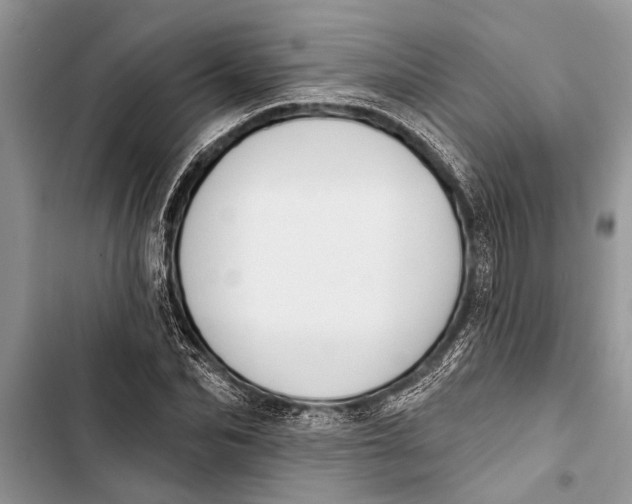 X0000103440974200810031409