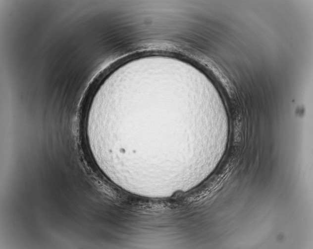 X0000103440975200810031409