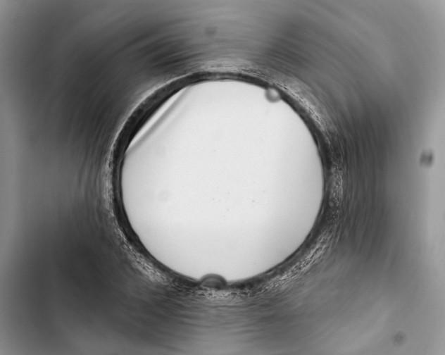 X0000103440976200810031409