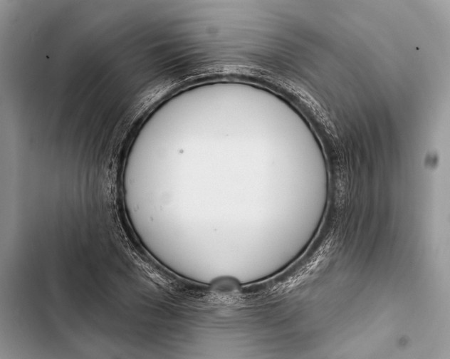 X0000103440977200810031409