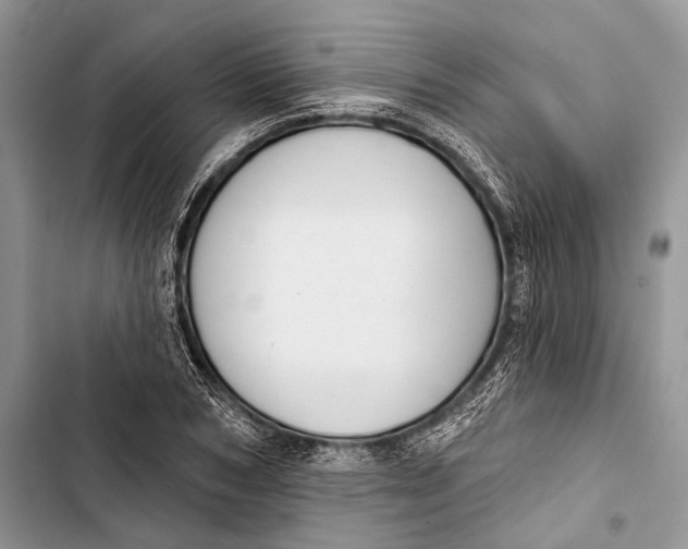 X0000103440978200810031409