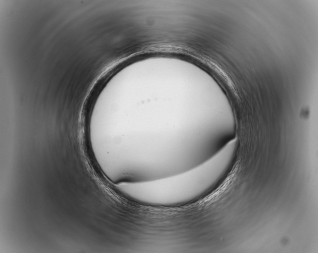 X0000103440981200810031409