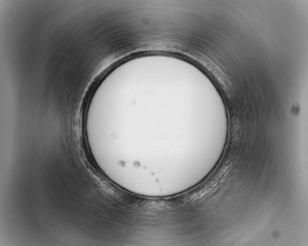 X0000103440982200810031409