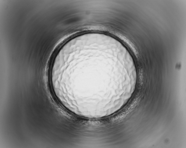 X0000103440983200810031409