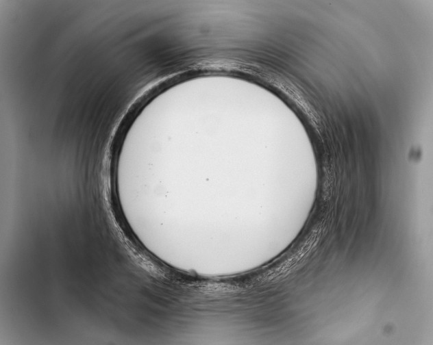 X0000103440984200810031409