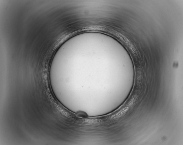 X0000103440985200810031409