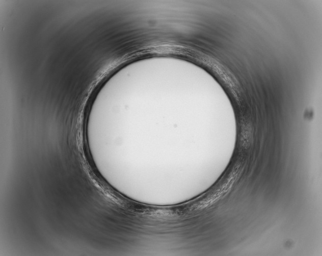 X0000103440986200810031409